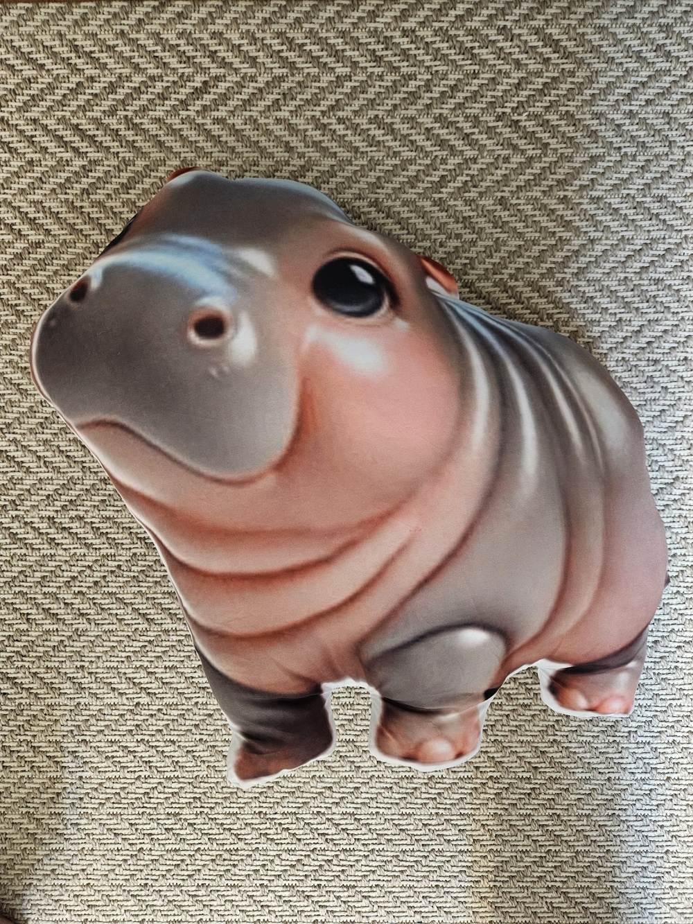 Moo Dang Hippo Pillow